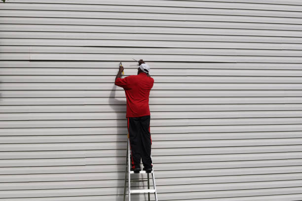 Best Custom Trim and Detailing for Siding  in Maplewood, MO